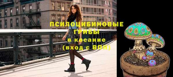 молекула духа Семикаракорск