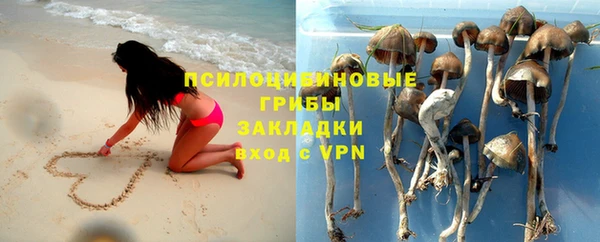 молекула духа Семикаракорск