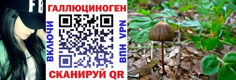 Галлюциногенные грибы MAGIC MUSHROOMS  купить наркотики цена  Себеж 